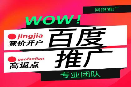 百度推广效果评估与持续优化案例